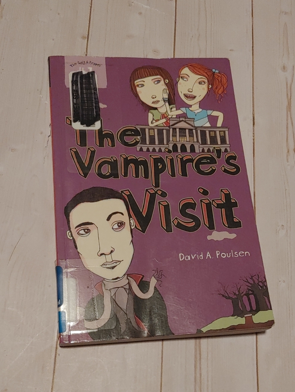 The Vampire Visit By David A. Poulsen Children Fiction Book